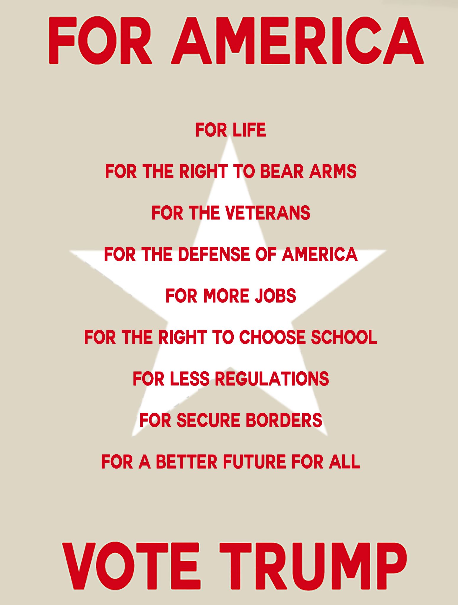 FOR AMERICA  copy